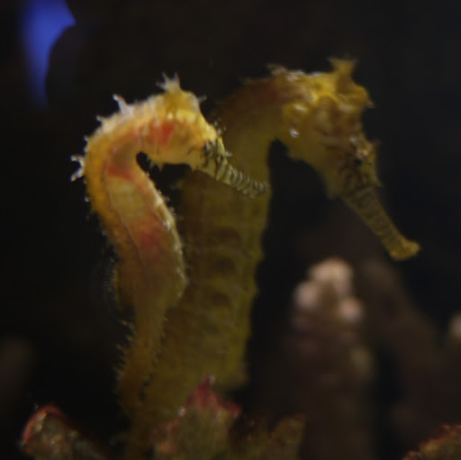 Andrew Adams Photo 27