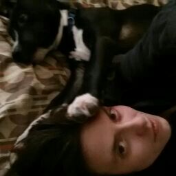 Tamra Collins Photo 5