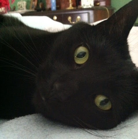 Sandra Boyd Photo 35