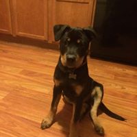 Kristin Ray Photo 19