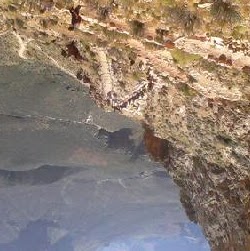 Thomas Hoover Photo 21