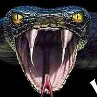 Tyler Mccann Photo 10