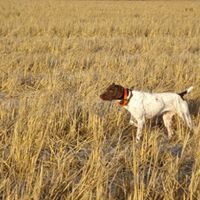 Julia Mccann Photo 29