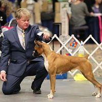 Julie Wilmore Photo 7