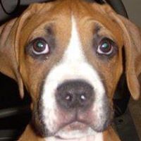 Jared Jarvis Photo 10