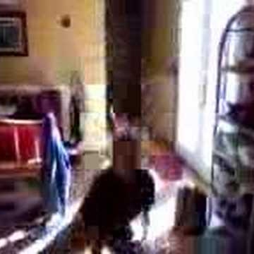 Shirley Stevens Photo 38