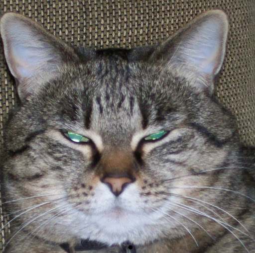 Sandra Storey Photo 4