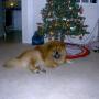 Kimberly Casey Photo 5