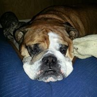 Annette Sharpe Photo 16