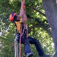Robert Rees Photo 7
