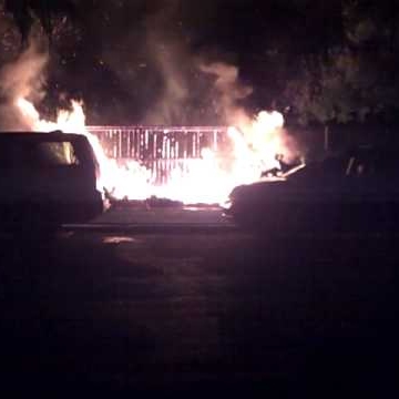 Stephen Irvin Photo 9