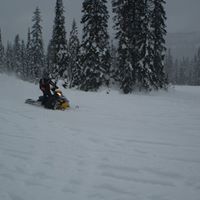 Cecilia Roberts Photo 7