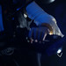 Christopher Simmons Photo 23