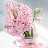 Christina Dallas Photo 8