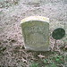 Russell Major Photo 24
