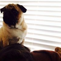 Jessica Velasco Photo 24