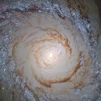 Patricia Webber Photo 15