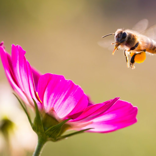 Julie Bolduc Photo 7