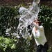 Deborah Waters Photo 27