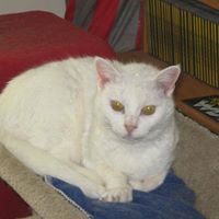 Debbie Reed Photo 13