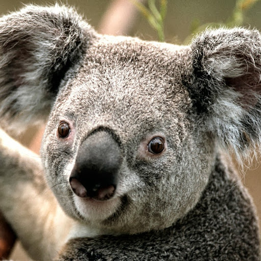 Tasha Mills Photo 13