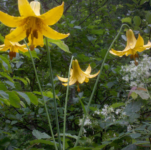 Paul Curtis Photo 17 Paul Curtis Photo 17