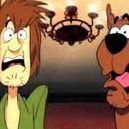 David Downs Photo 10