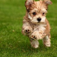 Beverly Jaeger Photo 4