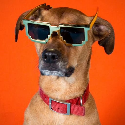 Jessica Wyatt Photo 8