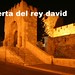 David Rey Photo 25