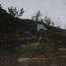 Laura Letchworth Photo 8