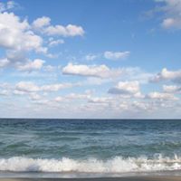 Janice Goodwin Photo 23