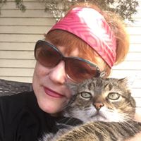 Patti Mcclintock Photo 5