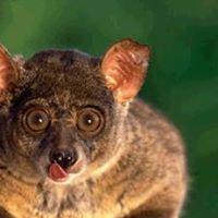 Phillip Mccann Photo 6