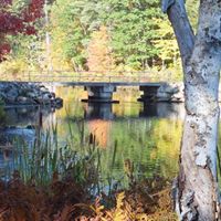 Gail Myers Photo 26