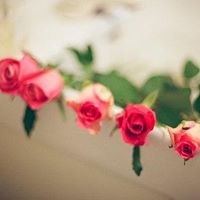 Helen Jiang Photo 38