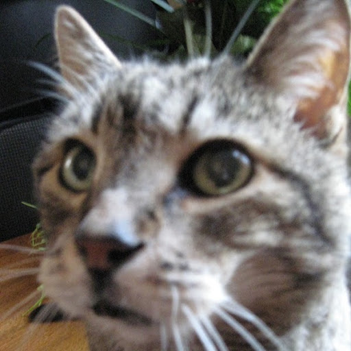 Rene Lawrence Photo 7