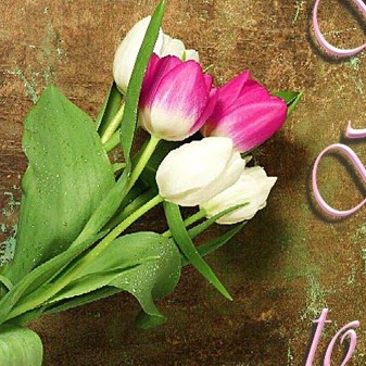 Kent Rodriguez Photo 14