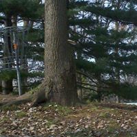 Robert Wehner Photo 15