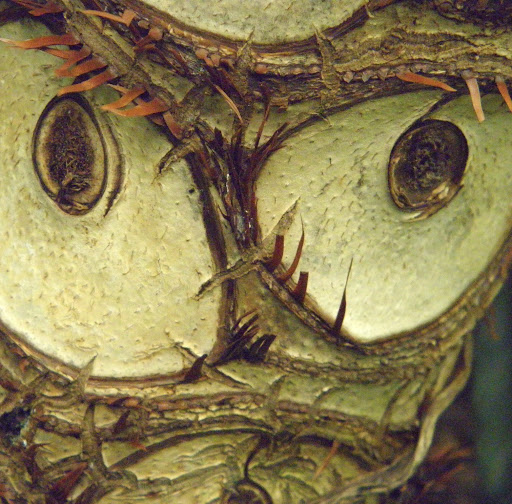 Terry Harper Photo 41