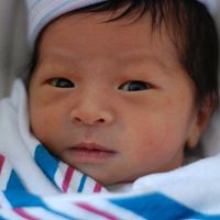Alexander Yang Photo 11