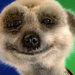 Paul Fuller Photo 47