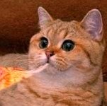 Michael Aleman Photo 21