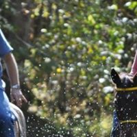 Brenda Stanley Photo 34