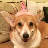 Barbara Weiner Photo 11