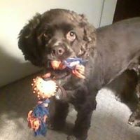 Darlene Hayes Photo 15