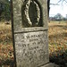 Elizabeth Helmick Photo 12