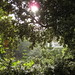 Philip Cook Photo 30