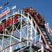 Jack Rosenthal Photo 12