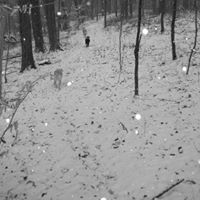 Jennifer Tharp Photo 16